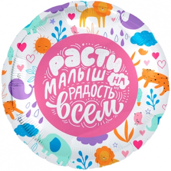Шар из фольги на выписку Расти малыш, на радость всем.
