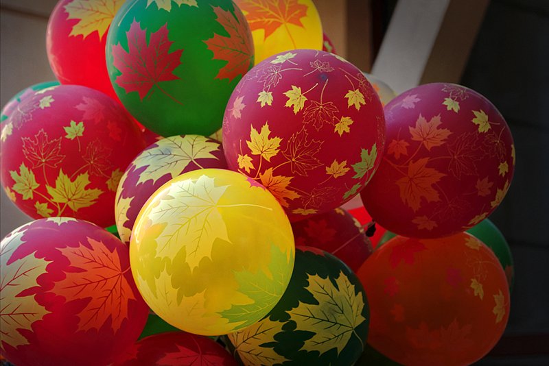 Кленовые листья шары на 1 сентября недорого