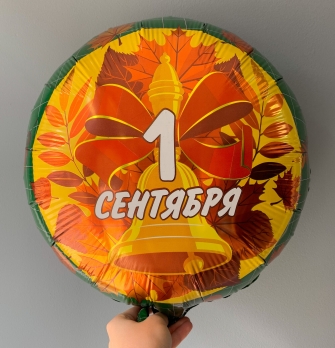 Шар круг на 1 сентября купить